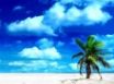 Tapety na plochu - Holiday Beach