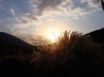 Tapety na plochu - Summer Sunset