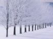 Tapety na plochu - Glimmerglass Park