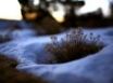 Tapety na plochu - Surrounding snow