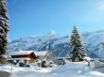 Tapety na plochu - Winter Holiday