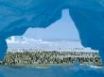Tapety na plochu - Atka Bay, Weddell