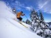 Tapety na plochu - Skiing through snow