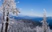 Tapety na plochu - Winter Shot