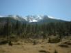 Tapety na plochu - Mountain Fir