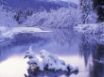 Tapety na plochu - Ostrov River