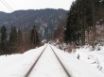 Tapety na plochu - Winter Scene