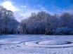 Tapety na plochu - Winter in Park