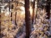 Tapety na plochu - Oregon Winter