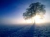 Tapety na plochu - Winter Inspirations