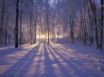 Tapety na plochu - Winter Sunset II