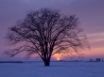 Tapety na plochu - Winter