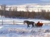 Tapety na plochu - Winter Wonderland