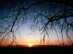 Tapety na plochu - Winter Sunset