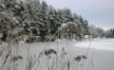 Tapety na plochu - Winter straws