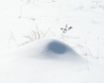 Tapety na plochu - Winter everywhere