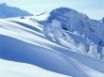 Tapety na plochu - Winter frost