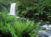 Tapety na plochu - Hopetoun Falls