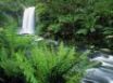 Tapety na plochu - Otway ranges