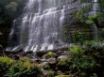 Tapety na plochu - Russel Falls