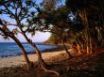 Tapety na plochu - tea tree beach noosa