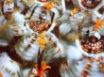 Tapety na plochu - carnival