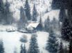 Tapety na plochu - Winter