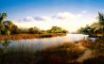 Tapety na plochu - Wildlife lake