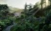 Tapety na plochu - Chinese forest
