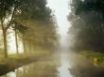 Tapety na plochu - River mist