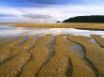 Tapety na plochu - Ripples reflections