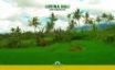 Tapety na plochu - Lovina Bali