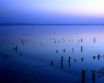 Tapety na plochu - Sunset Meadow