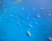 Tapety na plochu - St Barths Islands