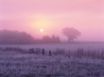 Tapety na plochu - Frosty Farmland