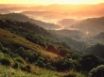 Tapety na plochu - El Yunque Rainforest