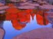 Tapety na plochu - Cathedral Rocks