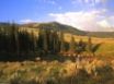 Tapety na plochu - Lamar River Valley