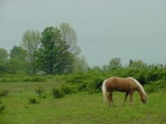Tapety na plochu - 12
