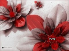 Tapety na plochu - 1