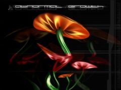 Tapety na plochu - 1