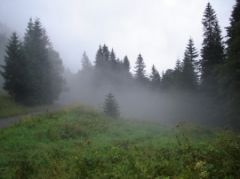 Tapety na plochu - 482